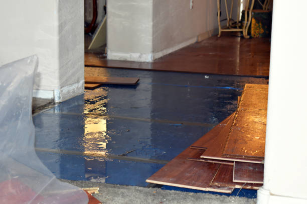 Professional Water Extraction technician working in Robertsville, OH